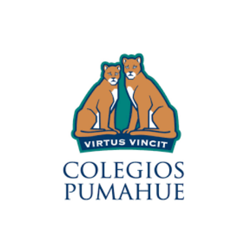 Colegio Pumahue (Región Metropolitana) Logo