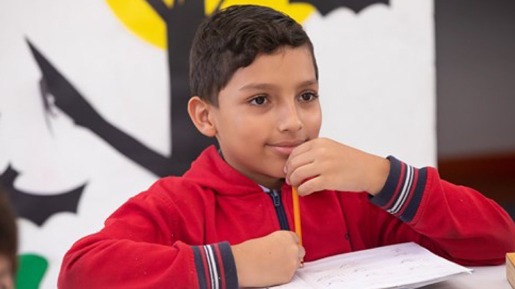 colegio new cambridge school