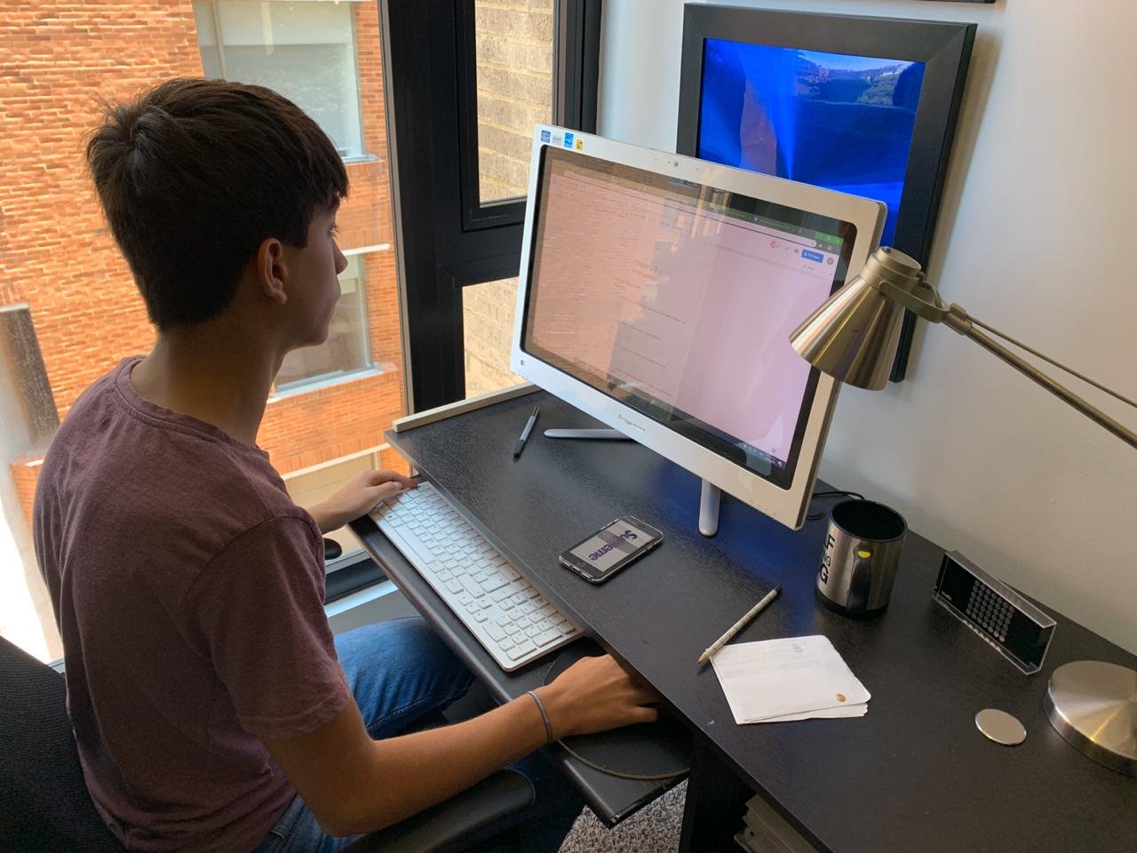 Educación vitual gimnasio moderno bogota colegios