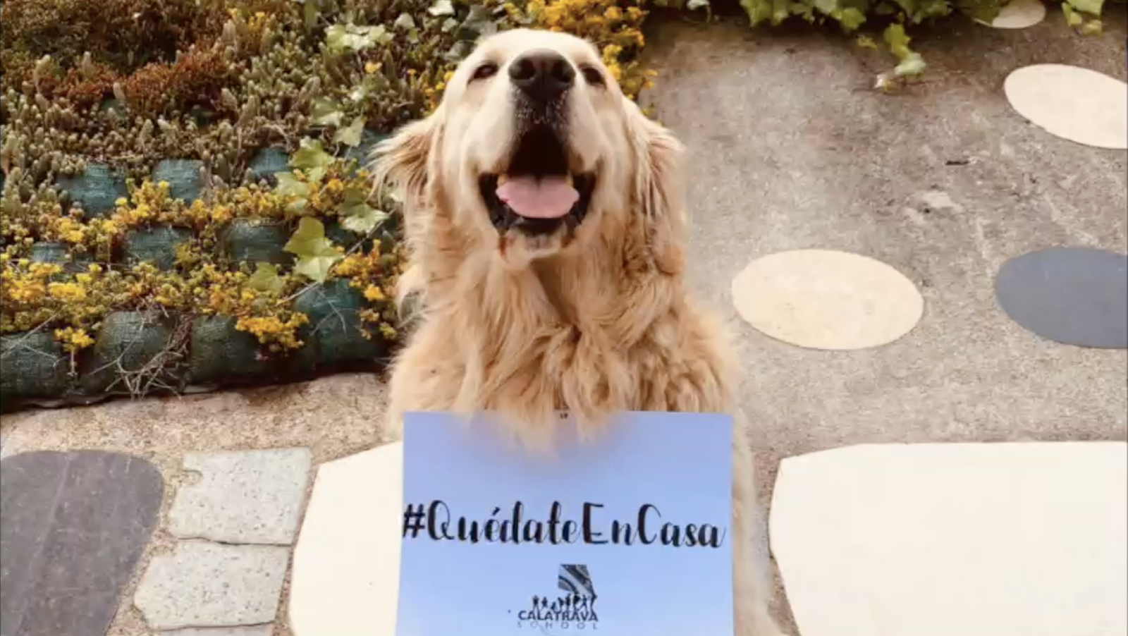 colegio calatraba quedate en casa 01