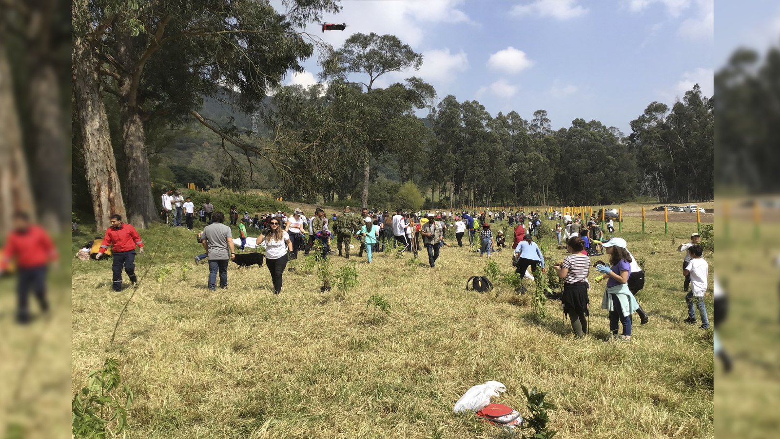 Colegio Rochester escogido como modelo a seguir por parte del Ministerio de Ambiente y Desarrollo 2 colegio rochester bogota one tree per child 01