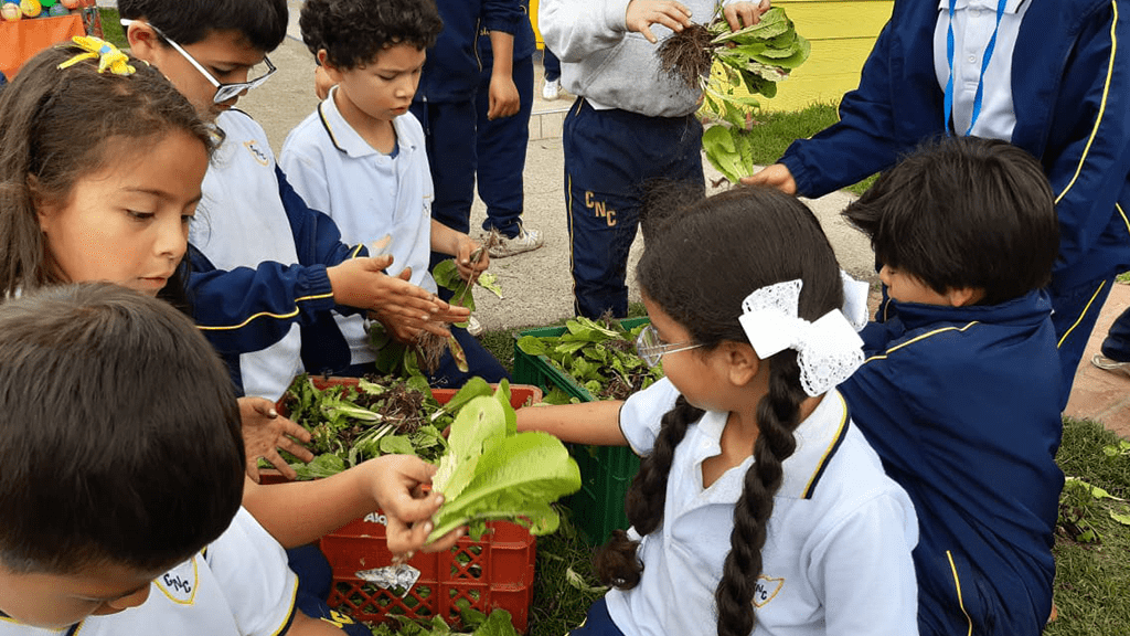 Cómo cuidar el planeta y brindarle educación de calidad a tu hijo