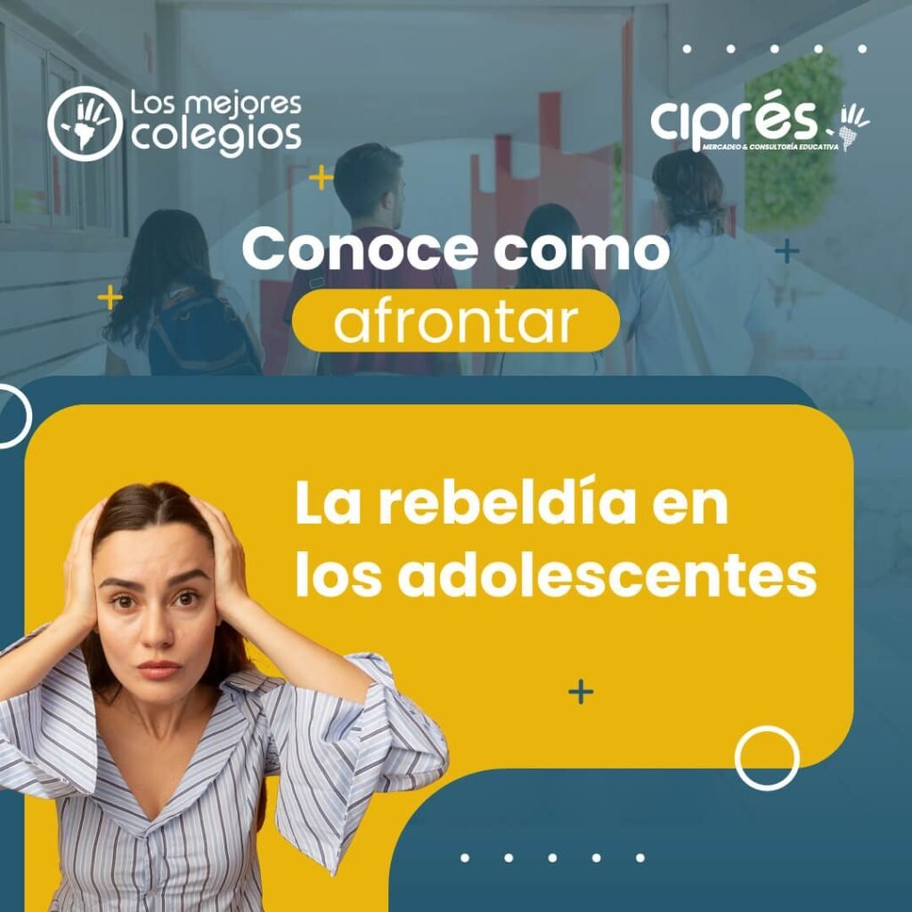 Descubre por que algunos adolescentes no socializan
