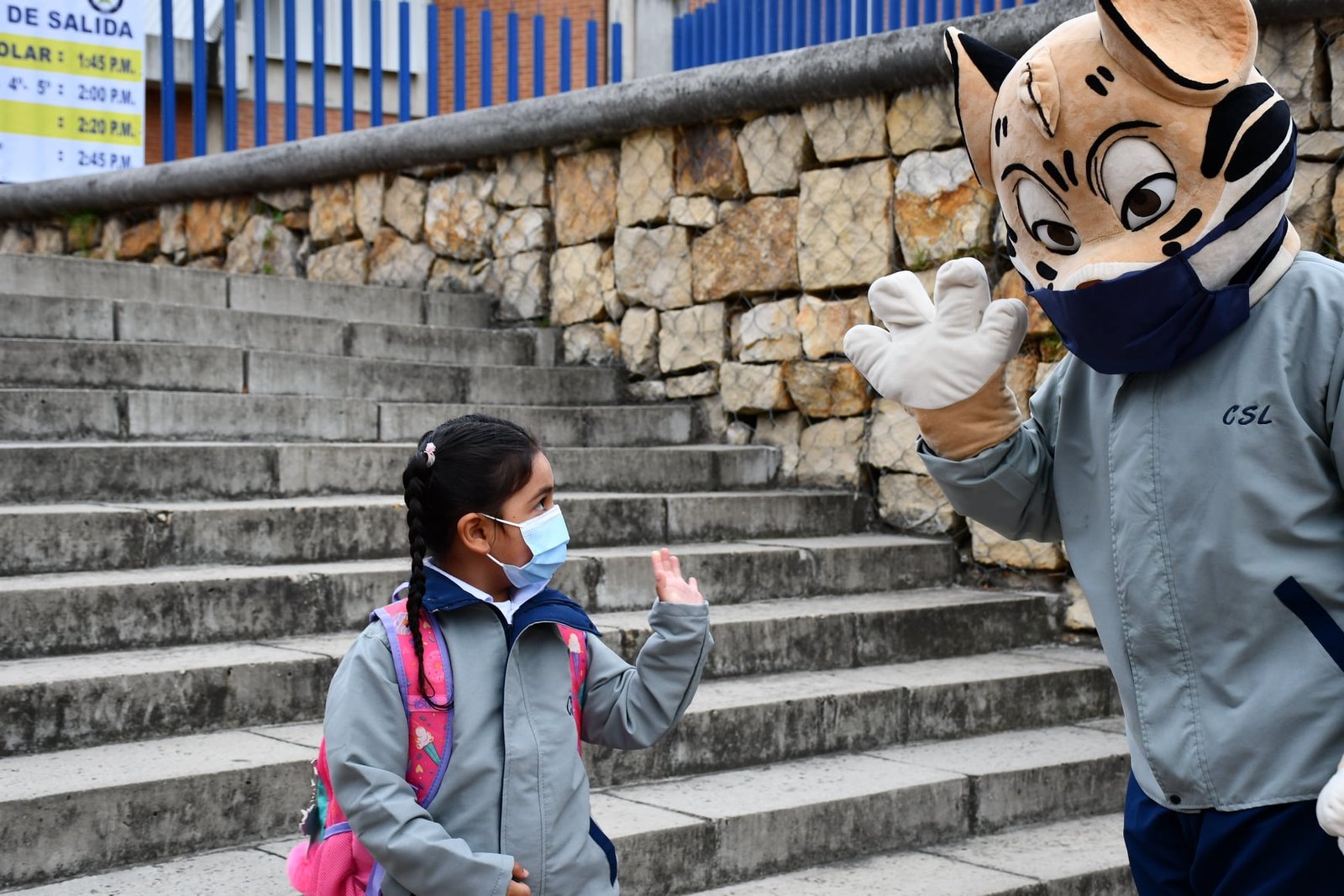 Colegio Santa Luisa (Bogotá)