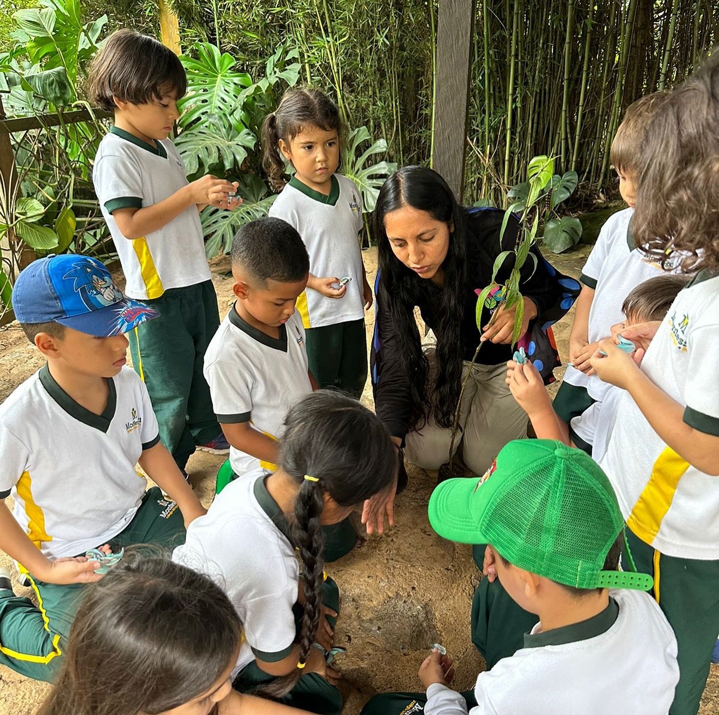 Colegio Bilingüe Montessori (Cali)