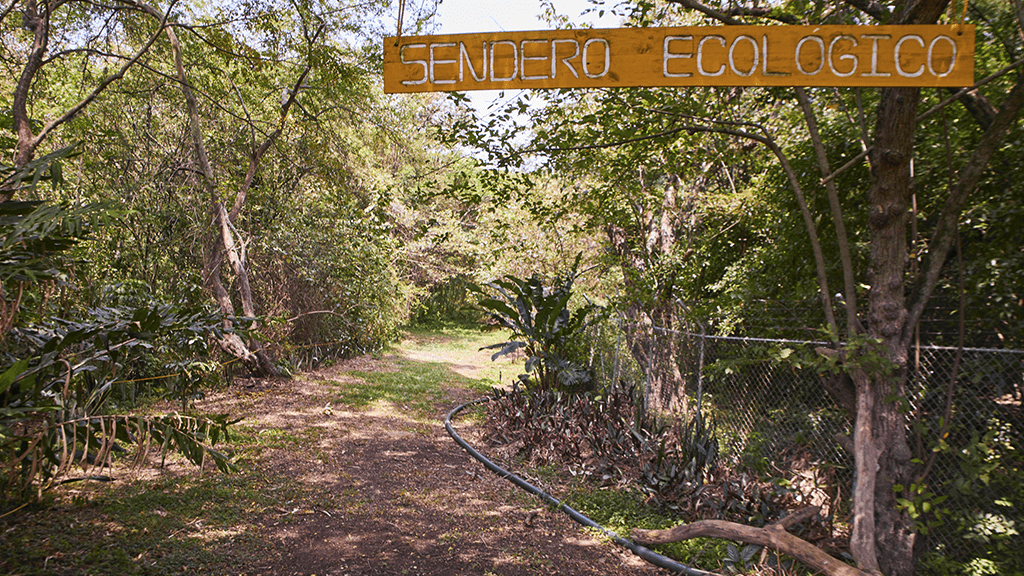Colegio Jefferson (Cali)