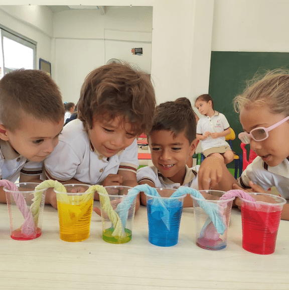 Fundación Liceo Inglés (Pereira)