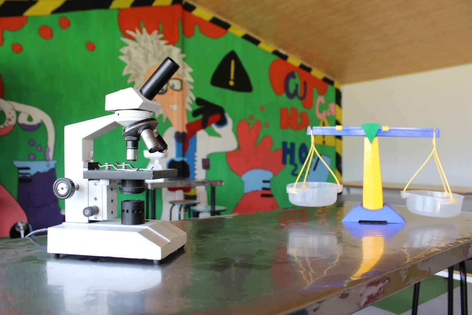 Colegio Bilingüe Celestin Freinet (Bogotá)