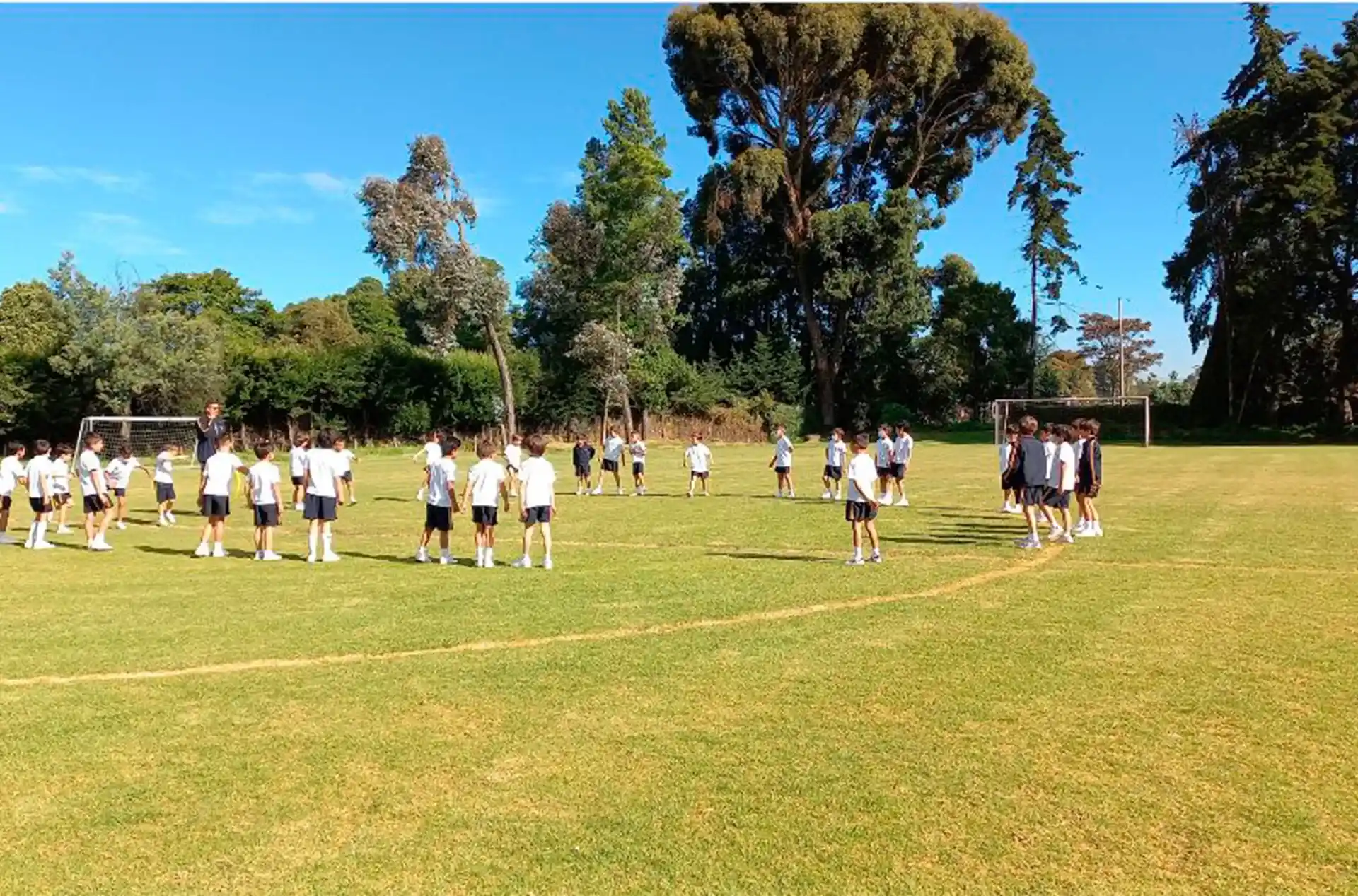 Colegio San Tarsicio (Bogotá)