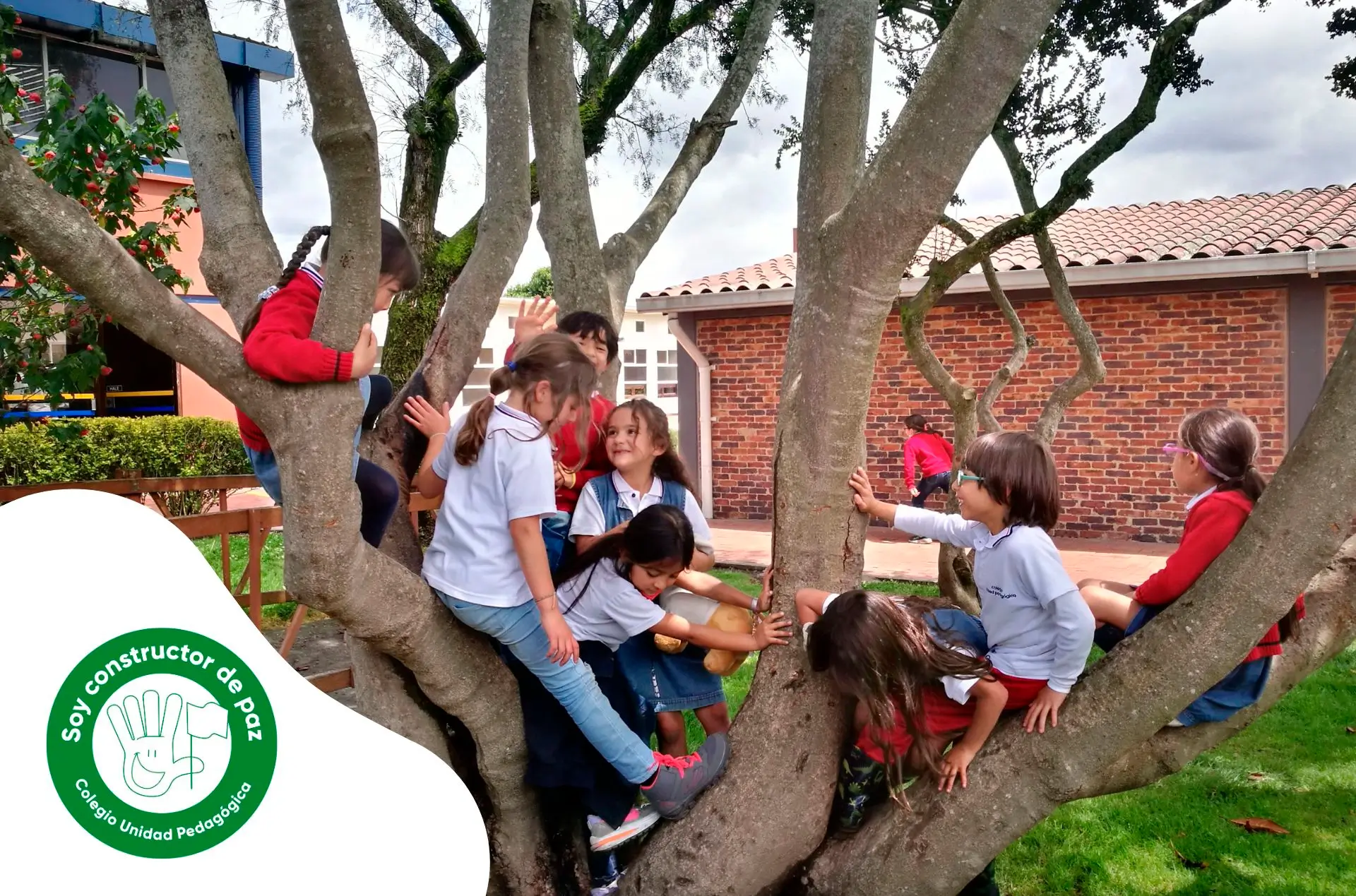 Colegio Unidad Pedagógica (Bogotá)