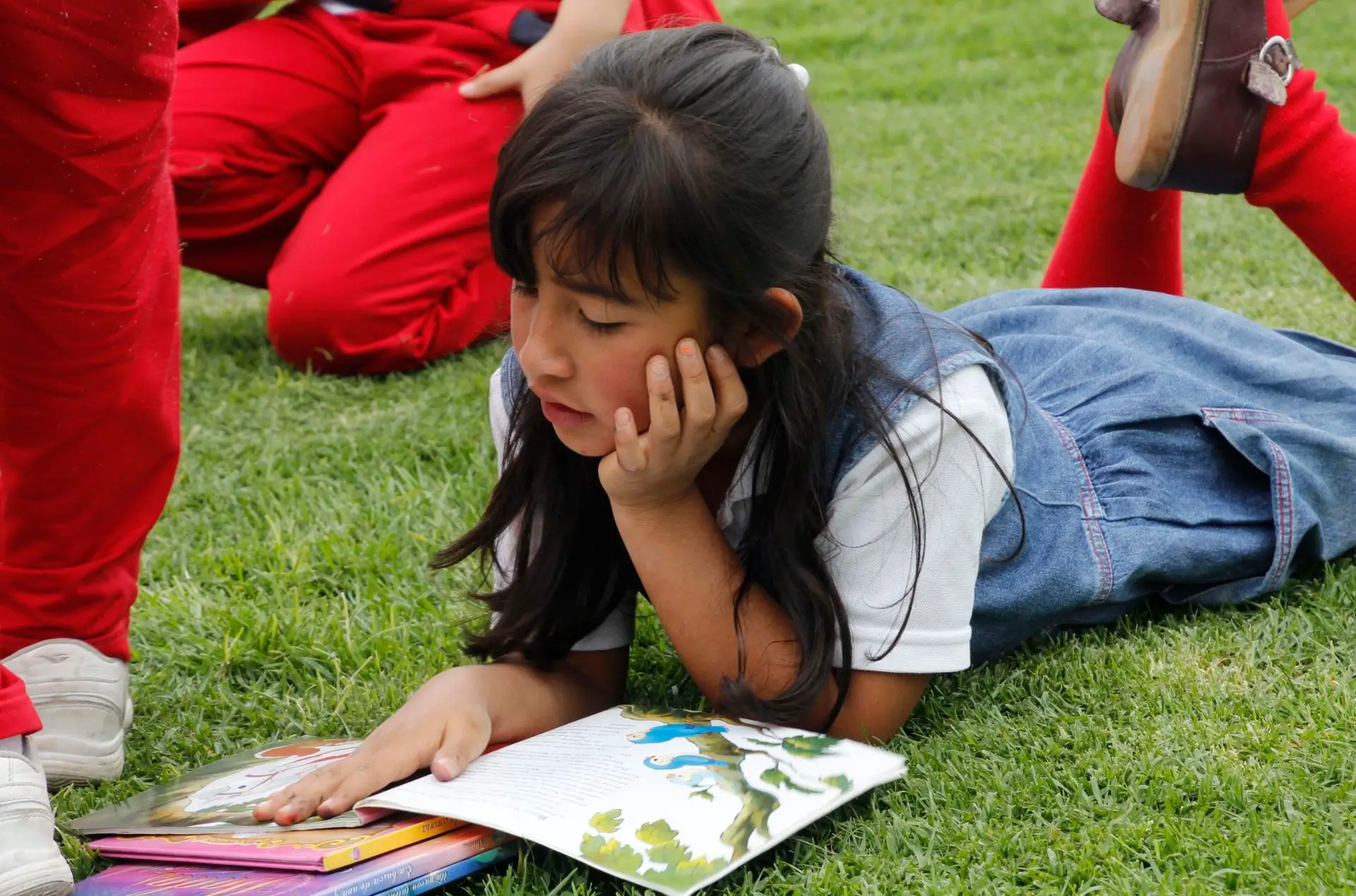 Colegio Unidad Pedagógica (Bogotá)