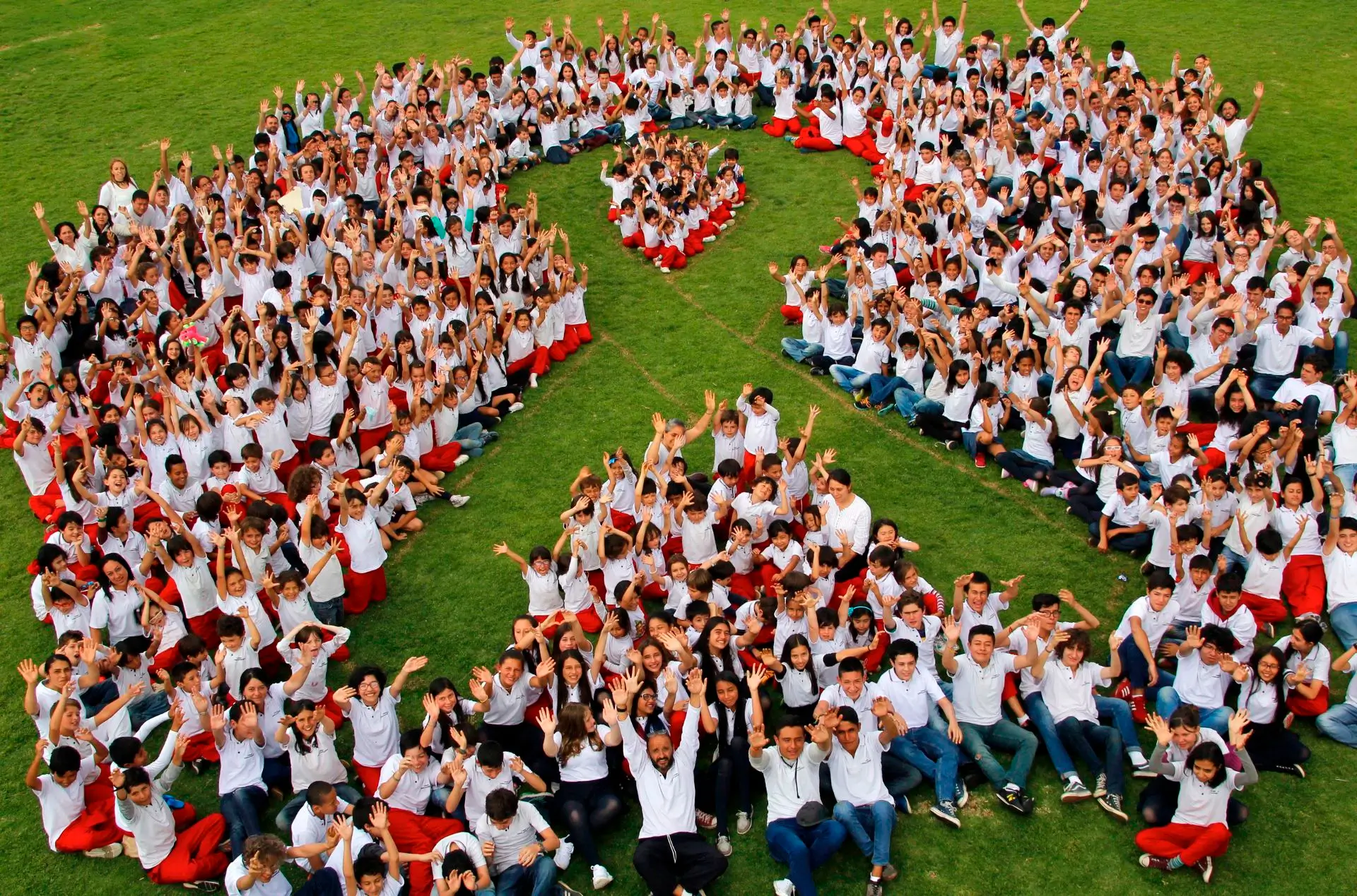 Colegio Unidad Pedagógica (Bogotá)