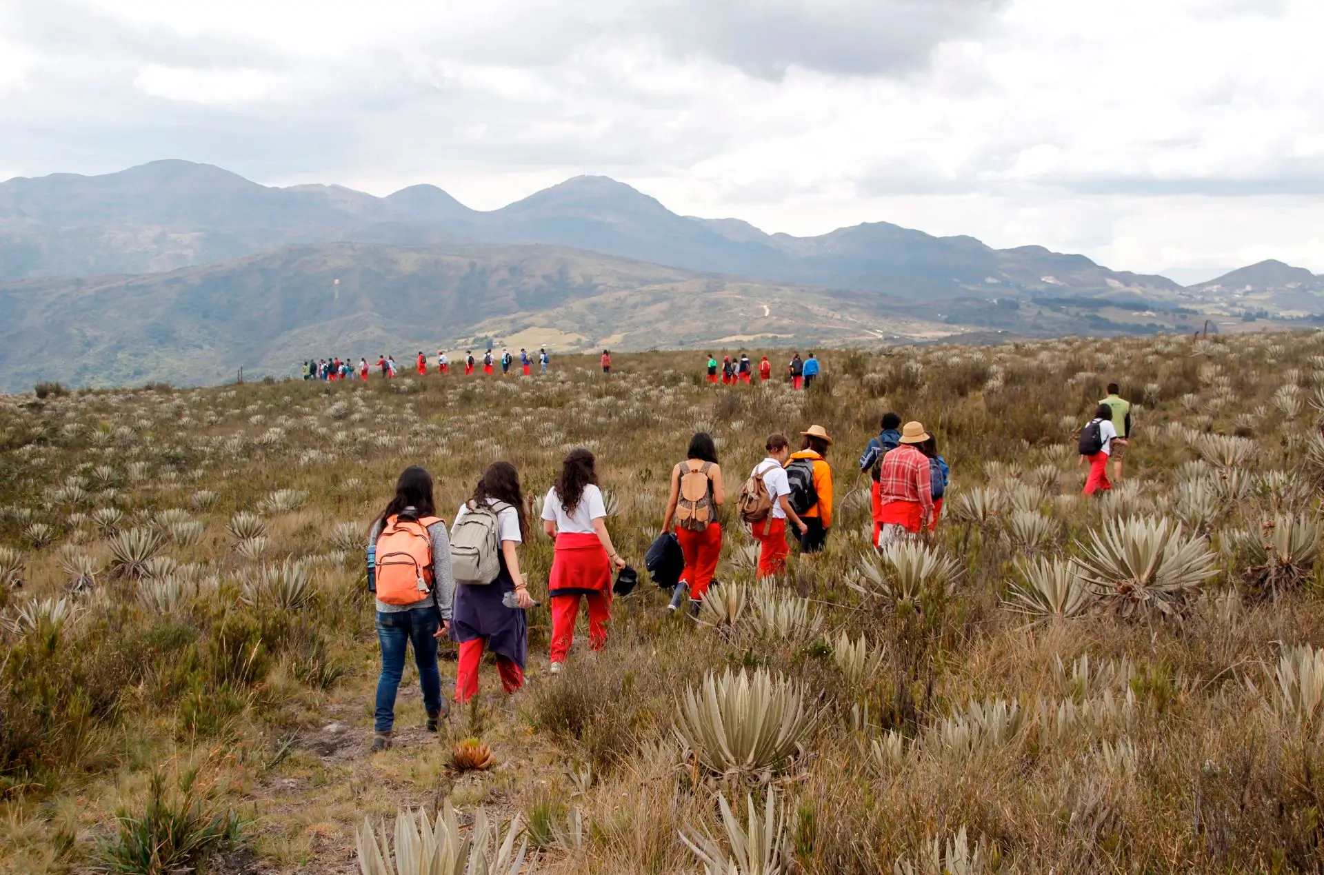 Colegio Unidad Pedagógica (Bogotá)
