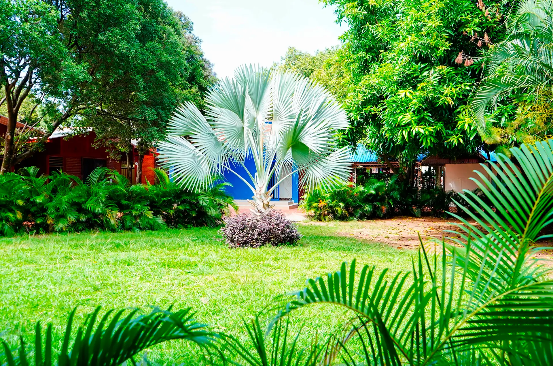 Colegio Colombo Inglés del Huila (Neiva)
