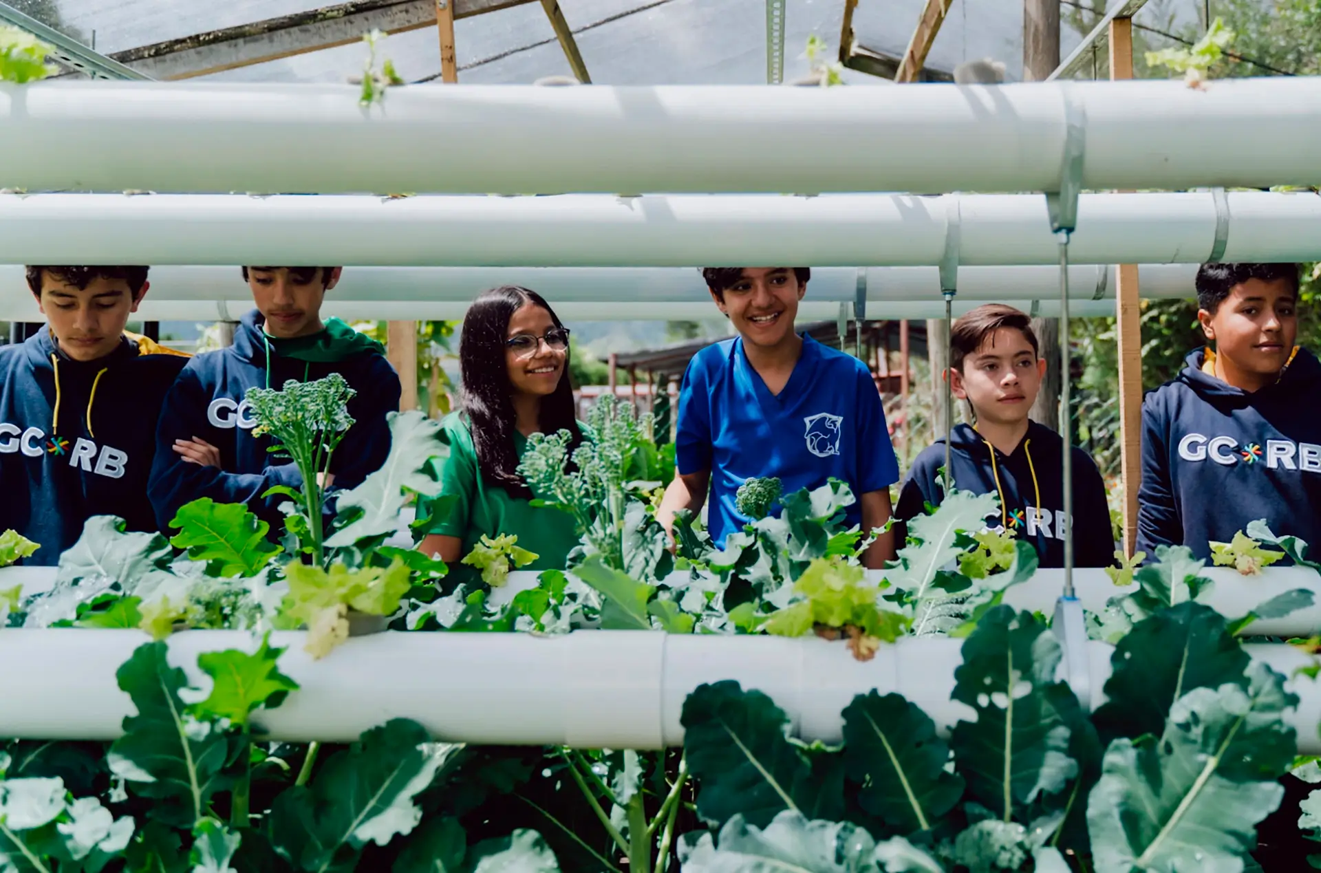 Colegio Bilingüe Internacional Gimnasio Campestre Reino Británico (Tenjo)