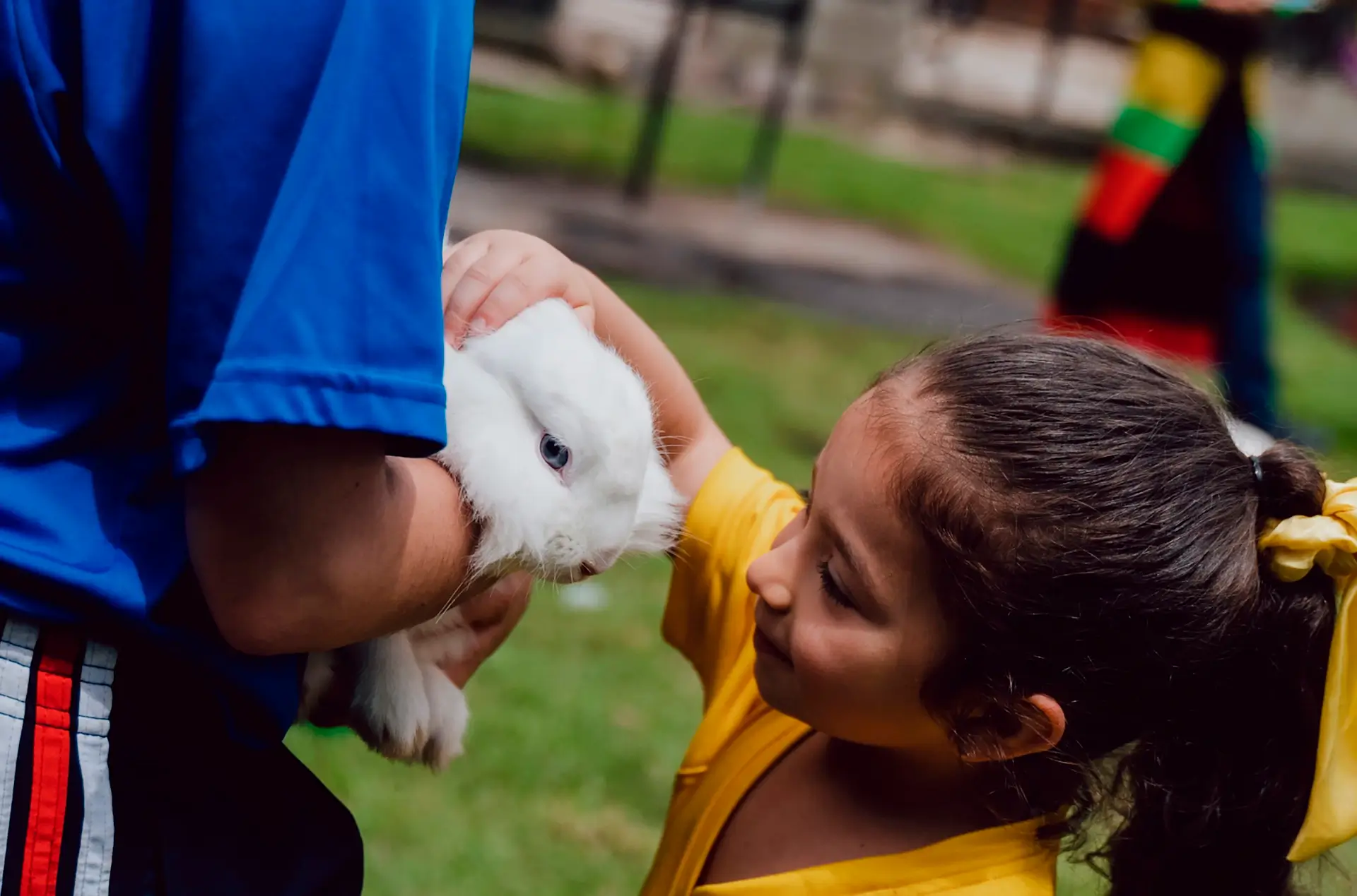 Colegio Bilingüe Internacional Gimnasio Campestre Reino Británico (Tenjo)