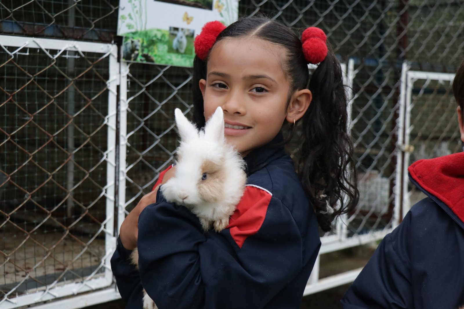 Country Bilingual School (Tunja)