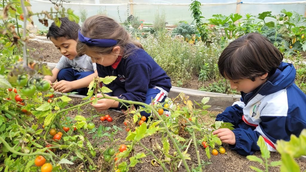 Colegio Internacional SEK Colombia (Chía)