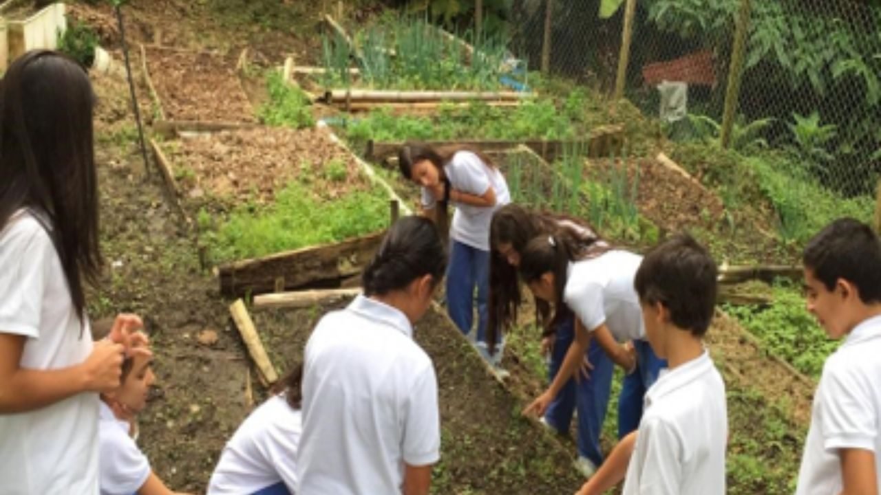 Colegio Bilingüe Leonardo Da Vinci (Envigado)