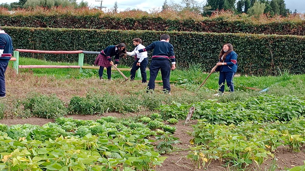 Gimnasio Campestre Meryland Bilingue (Chía)