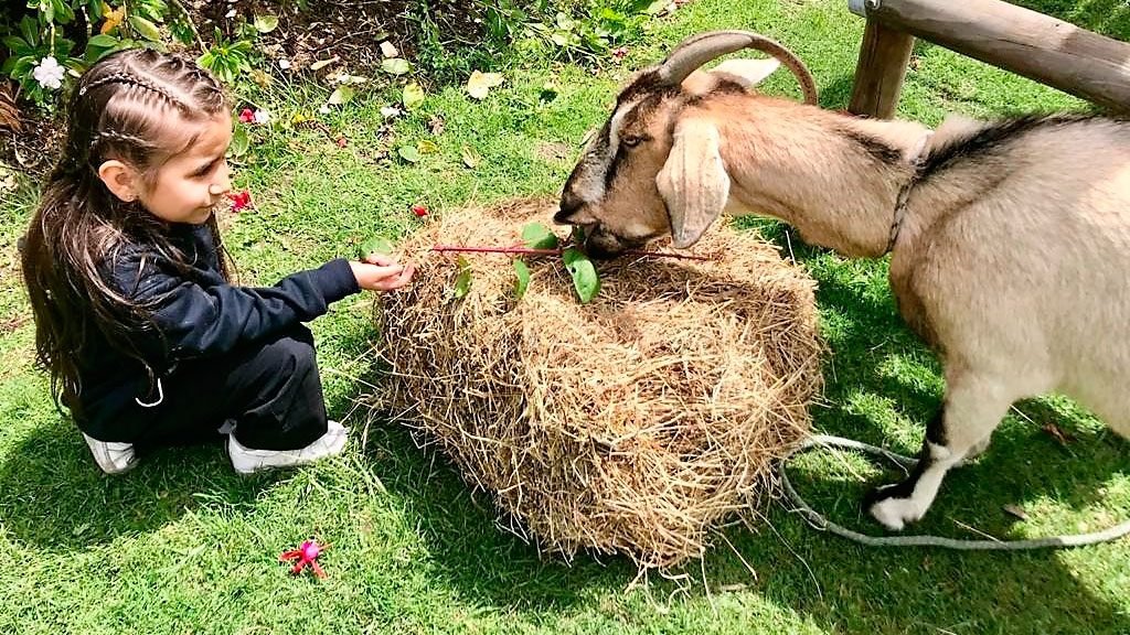 Gimnasio Nueva Escocia (Chía)
