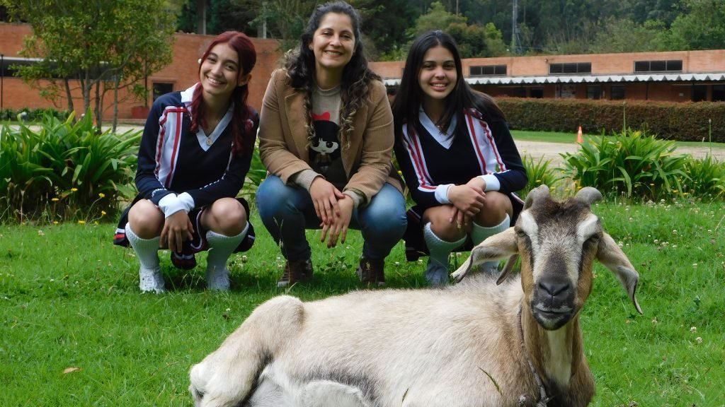 Gimnasio Nueva Escocia (Chía)