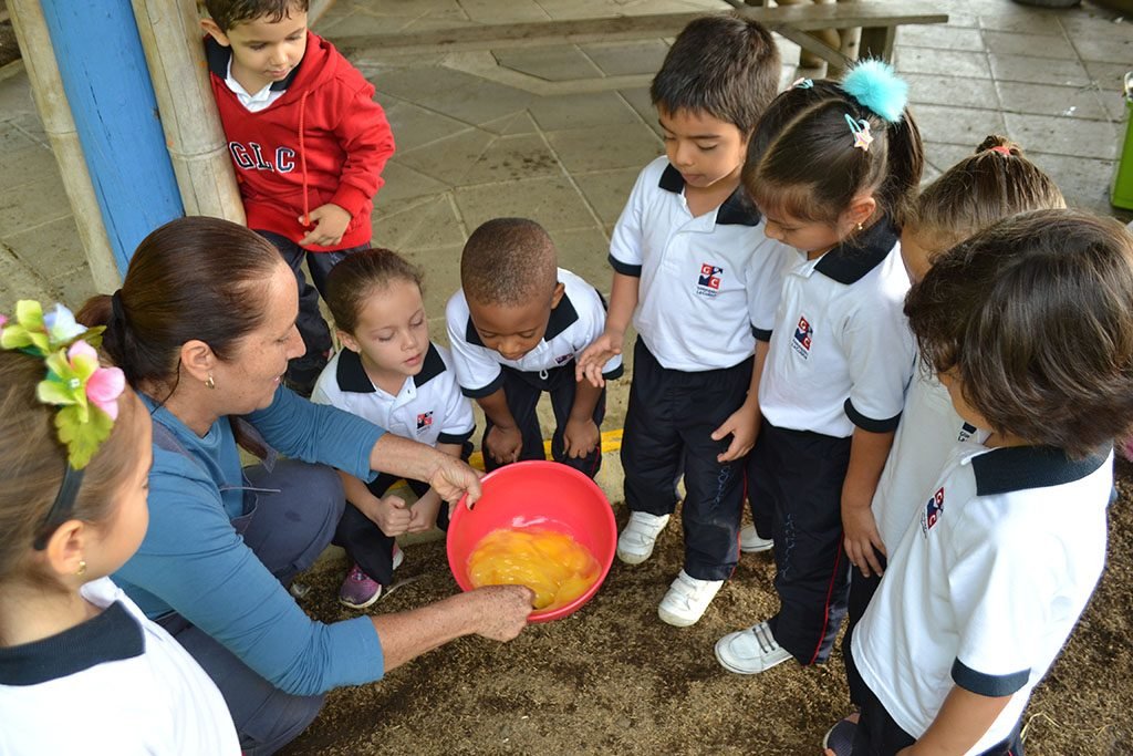 Gimnasio la Colina (Cali)