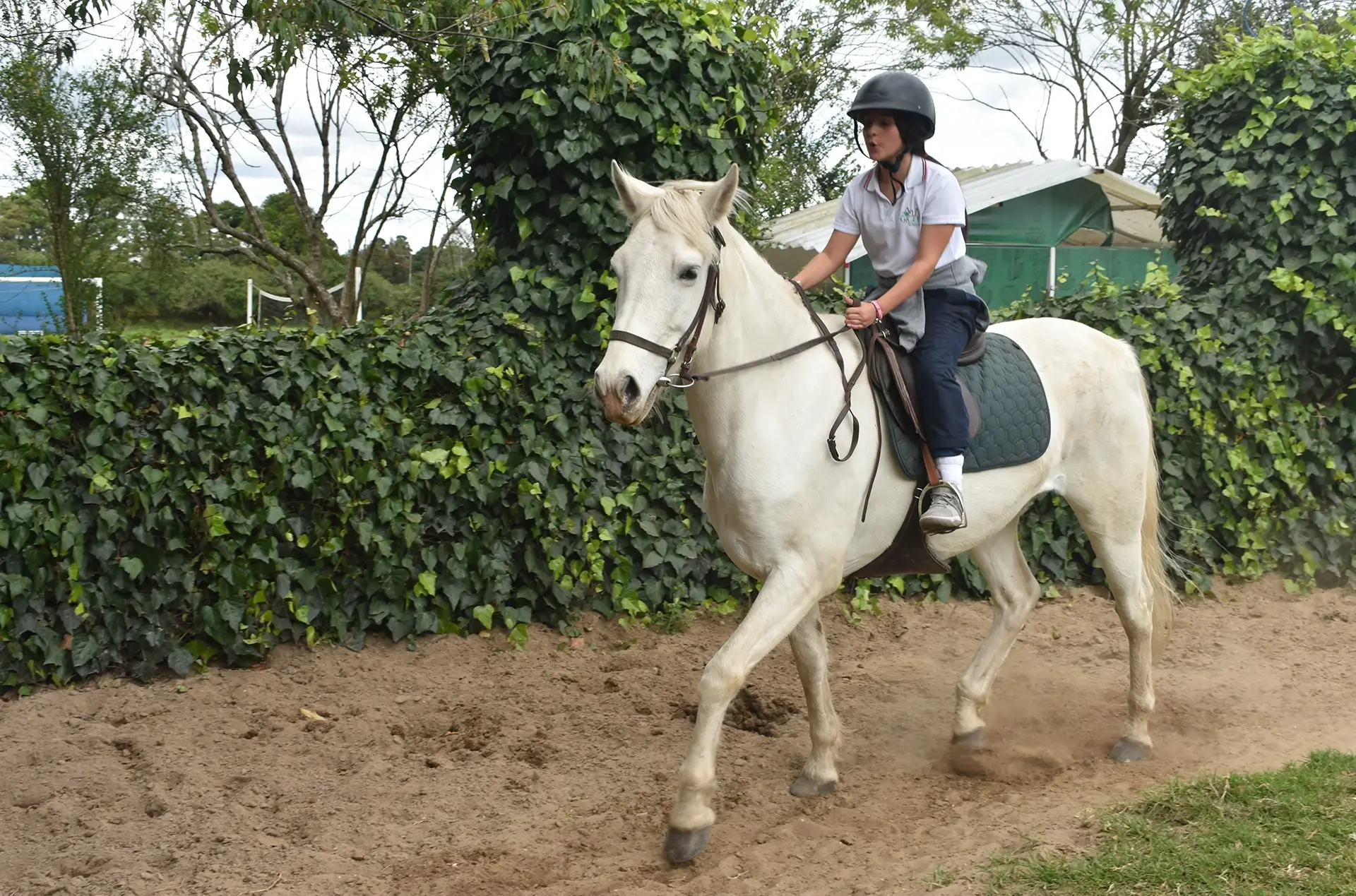Gimnasio Campestre Para La Educación Integral – GICEI (Chía)