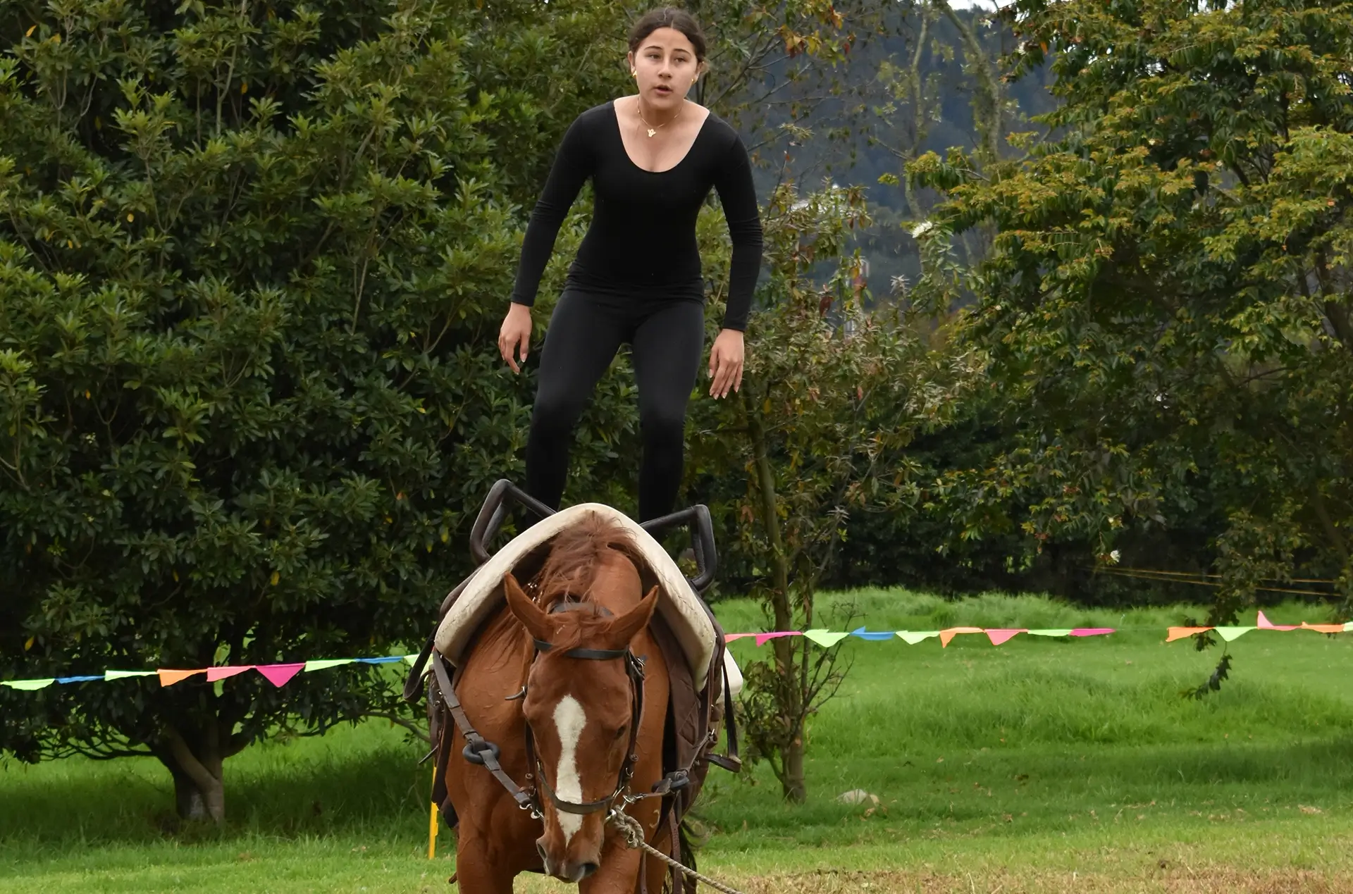 Gimnasio Campestre Para La Educación Integral – GICEI (Chía)