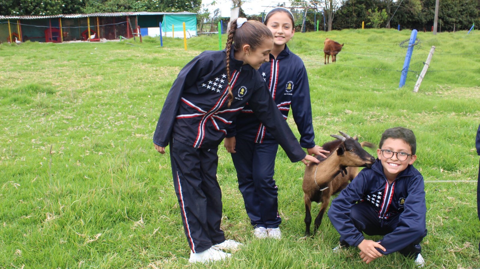 Colegio Bilingüe Celestin Freinet (Bogotá)