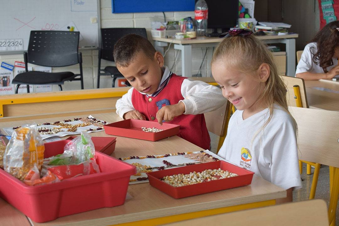 Liceo Francés Paul Valery (Cali)