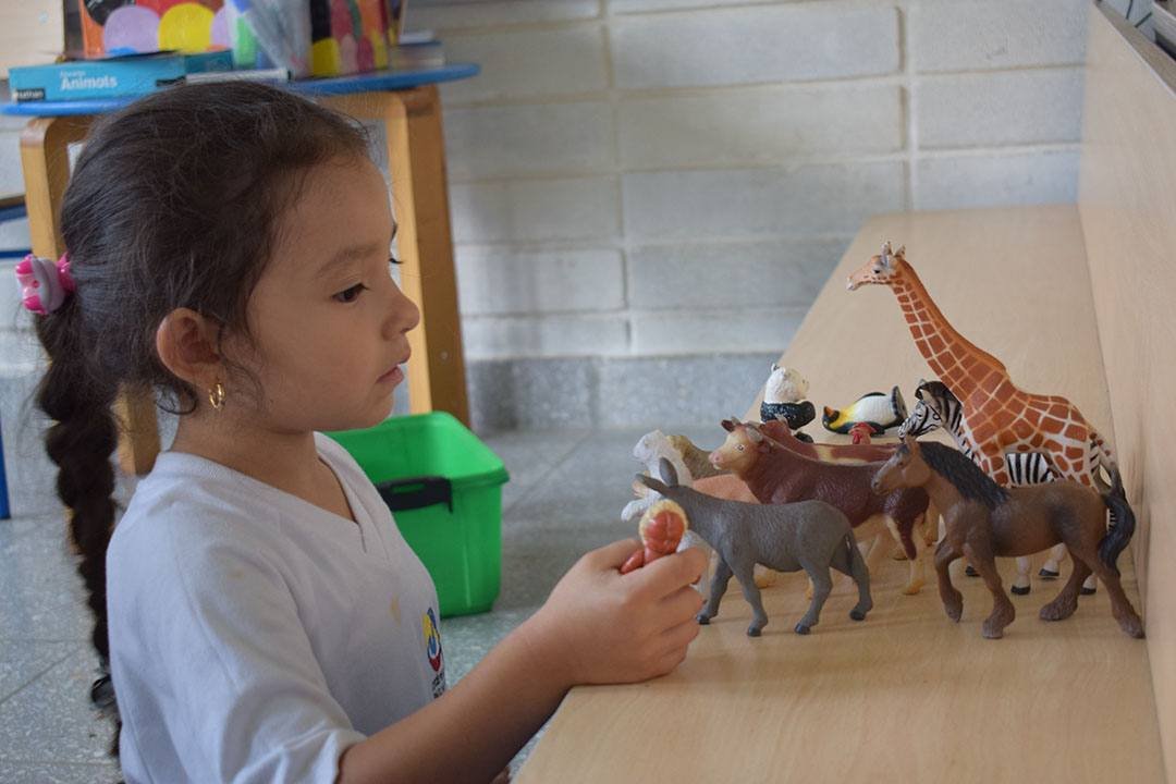 Liceo Francés Paul Valery (Cali)