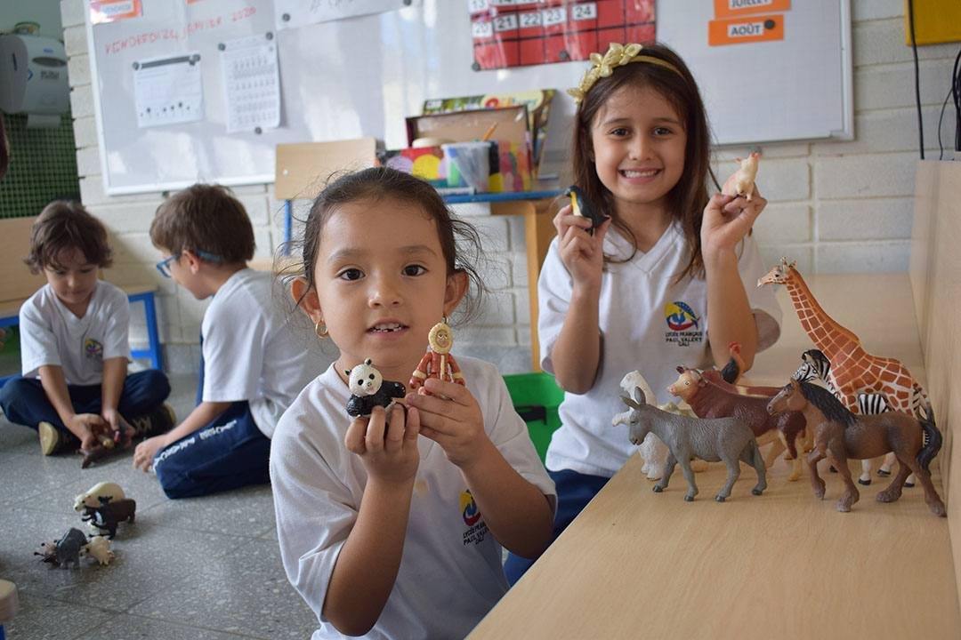 Liceo Francés Paul Valery (Cali)