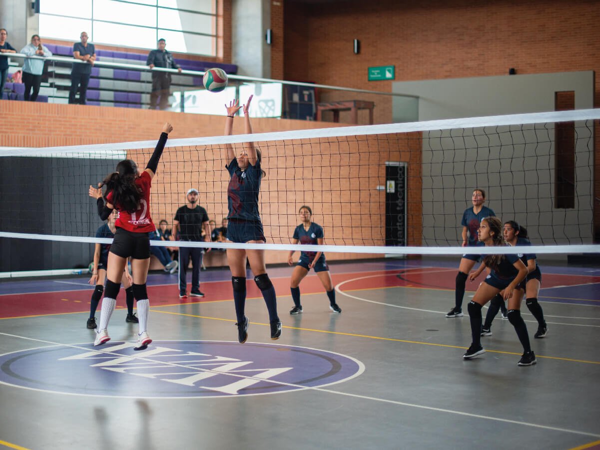 Colegio Newman (Cajicá)