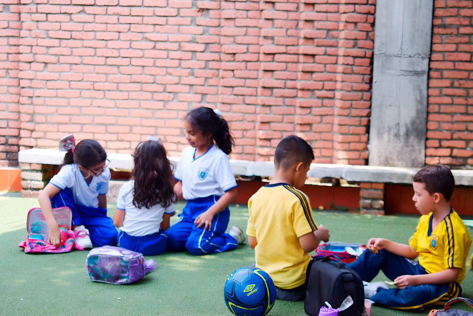 Colegio Católico Rosalba Santander (Cali)