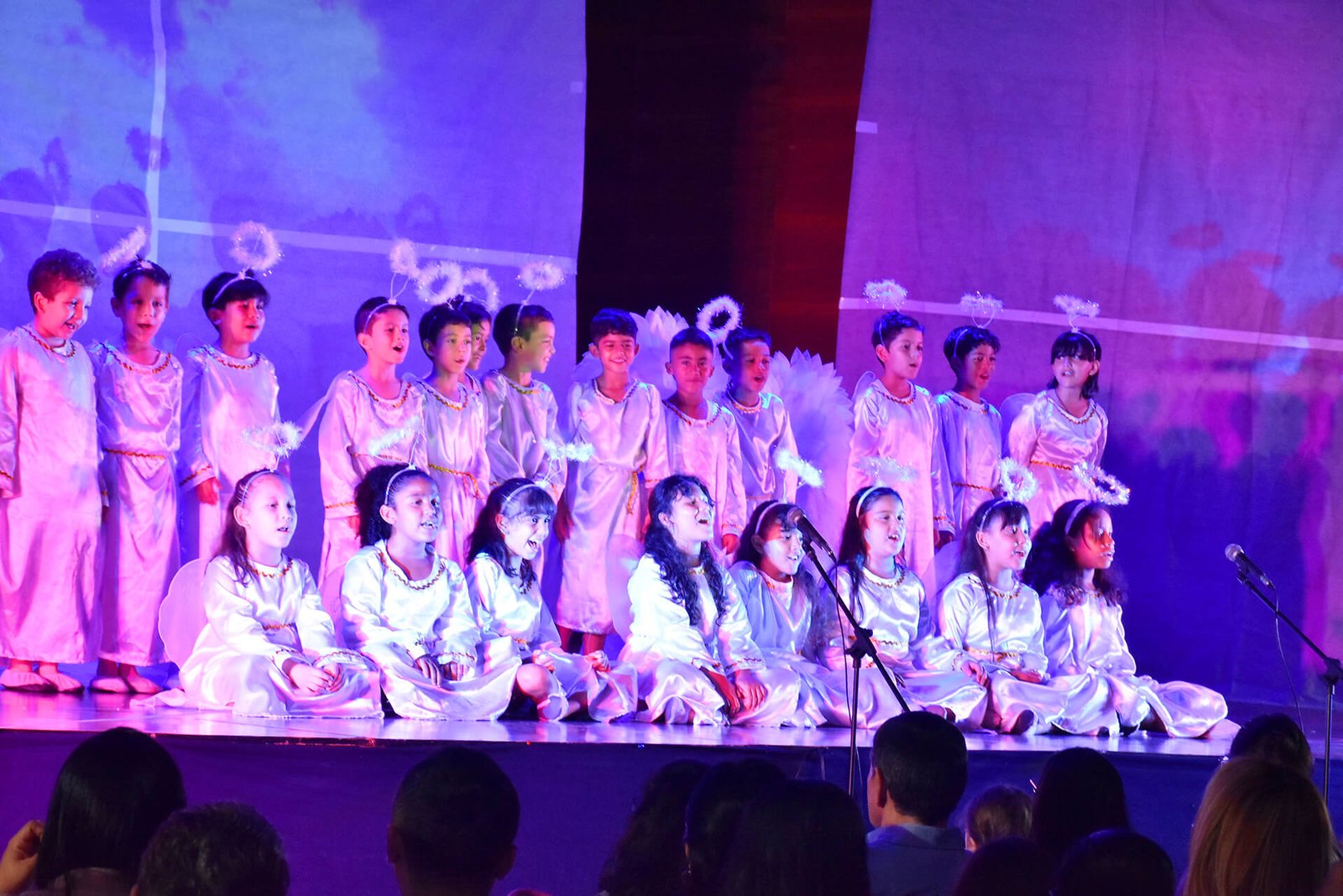 Colegio Católico Rosalba Santander (Cali)