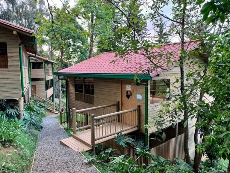 Instituto Musical Diego Echavarría (Medellín)