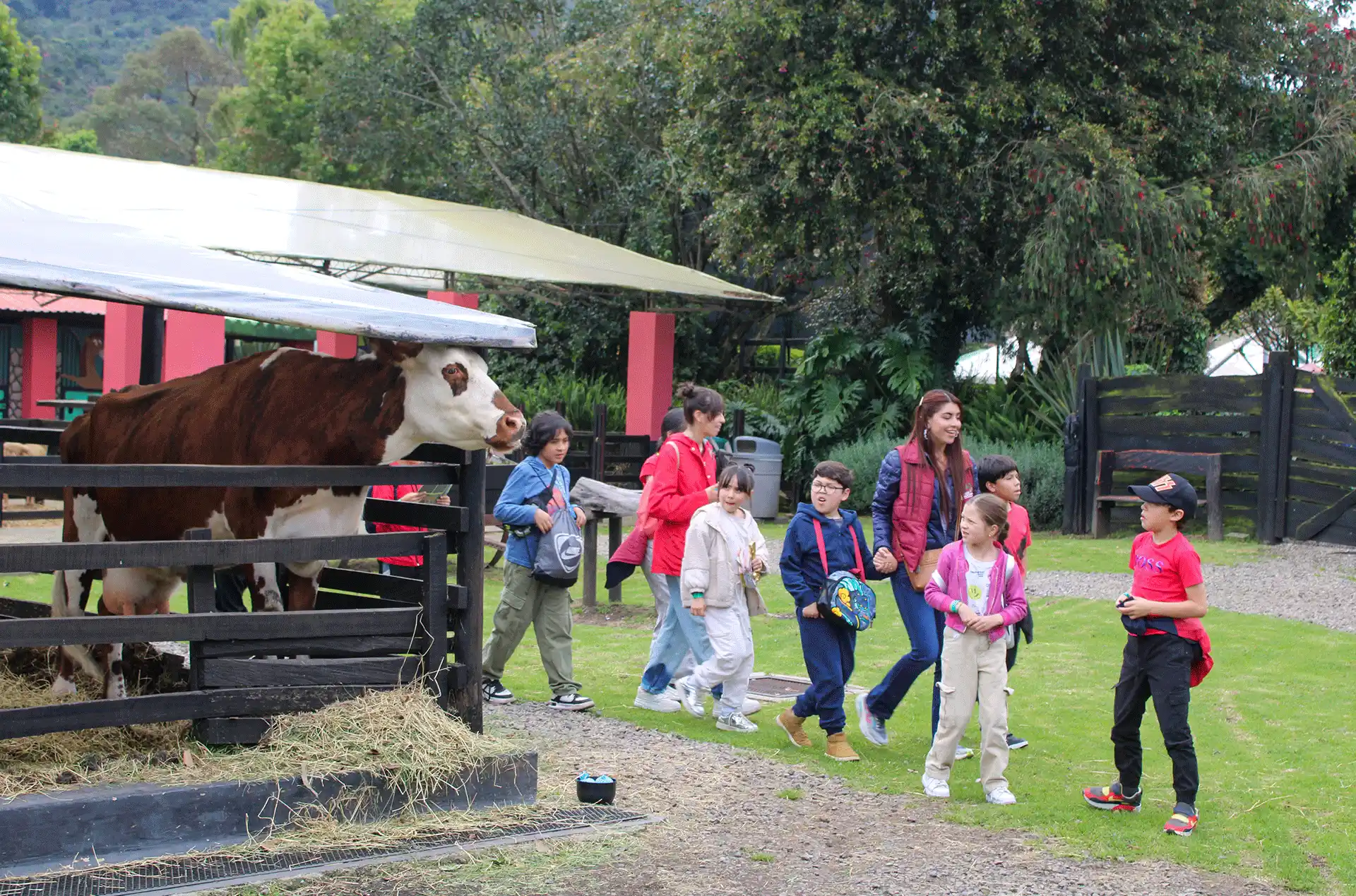 Colegio Monterrosales Bilingüe Homeschool