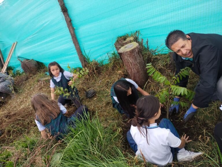 Los mejores colegios Evergreen School