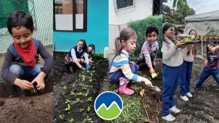 El Colegio Montemorel (Chía) resalta la labor en su huerta escolar como un espacio de cocreación