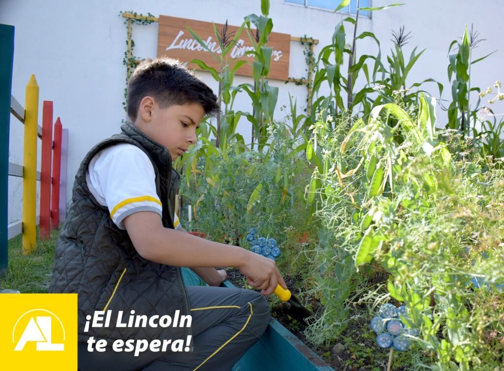 Promoviendo la conciencia ambiental en el Colegio Bilingüe Abraham Lincoln 1 conciencia ambiental
