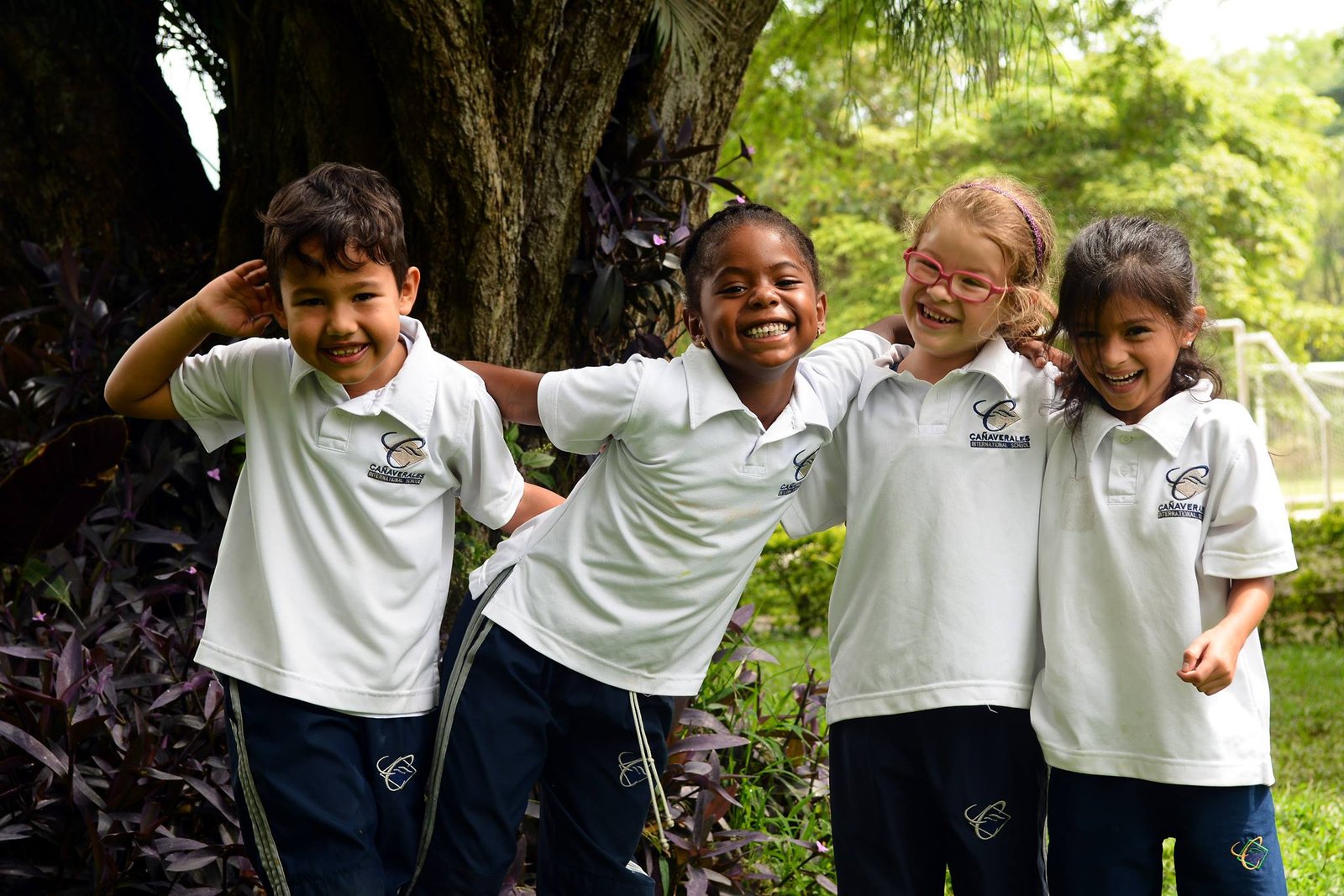 Colegio Internacional Los Cañaverales (Cali)