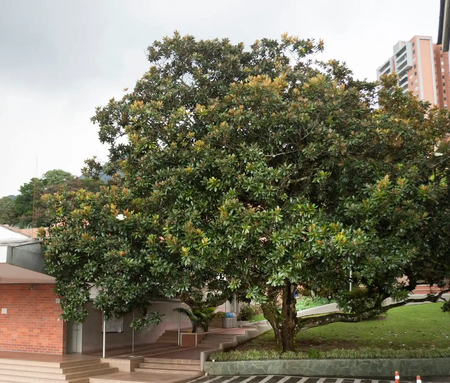 Marymount School (Medellín)
