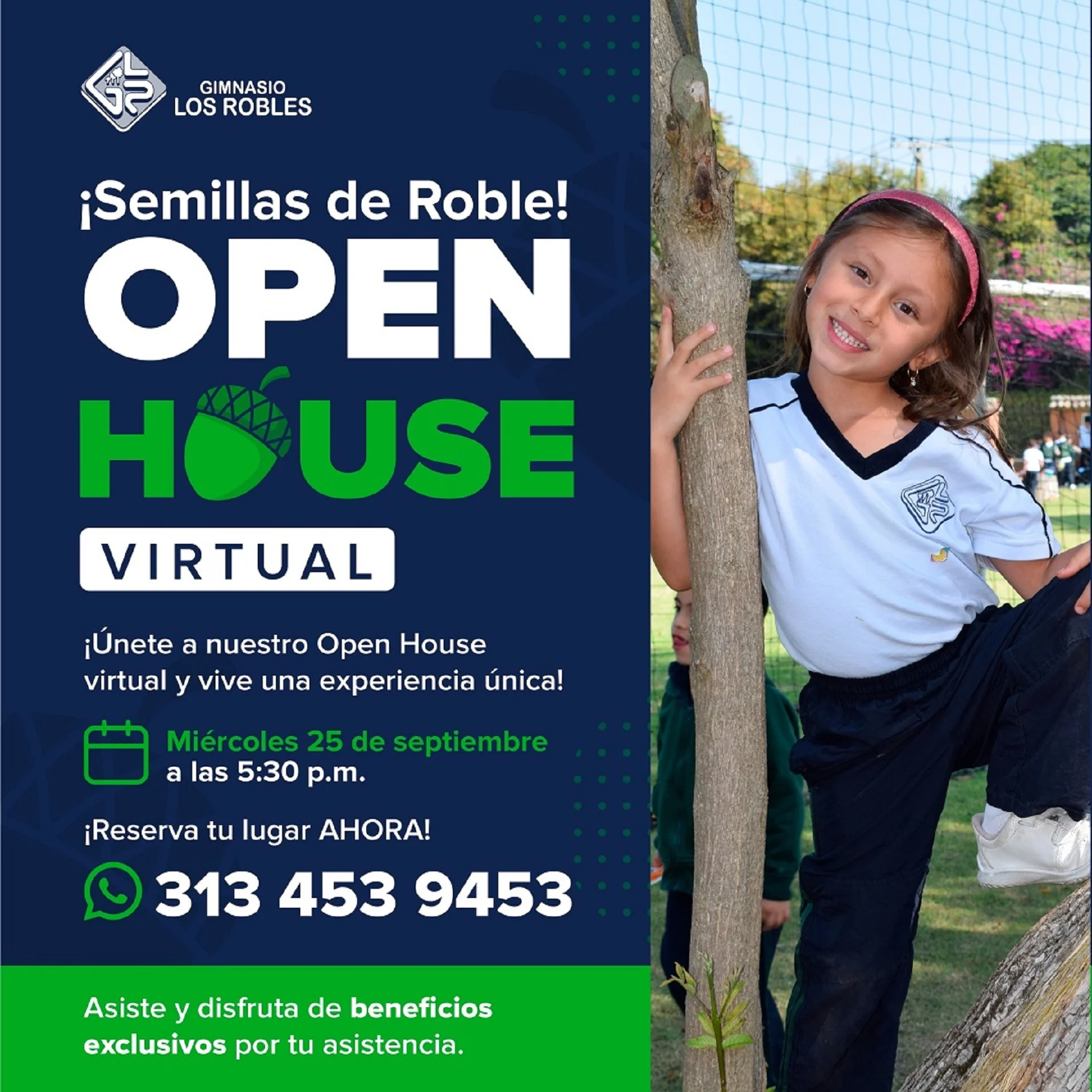 Gimnasio Los Robles