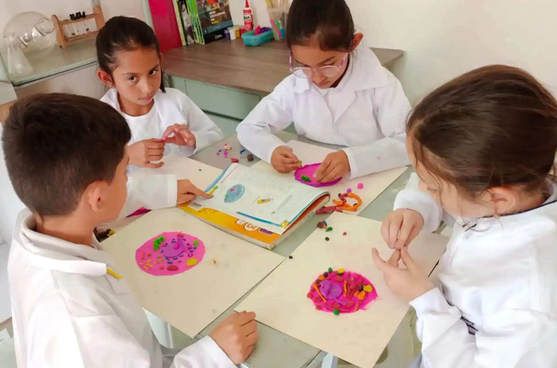 Liceo Miguel de Cervantes Saavedra (Fusagasugá)