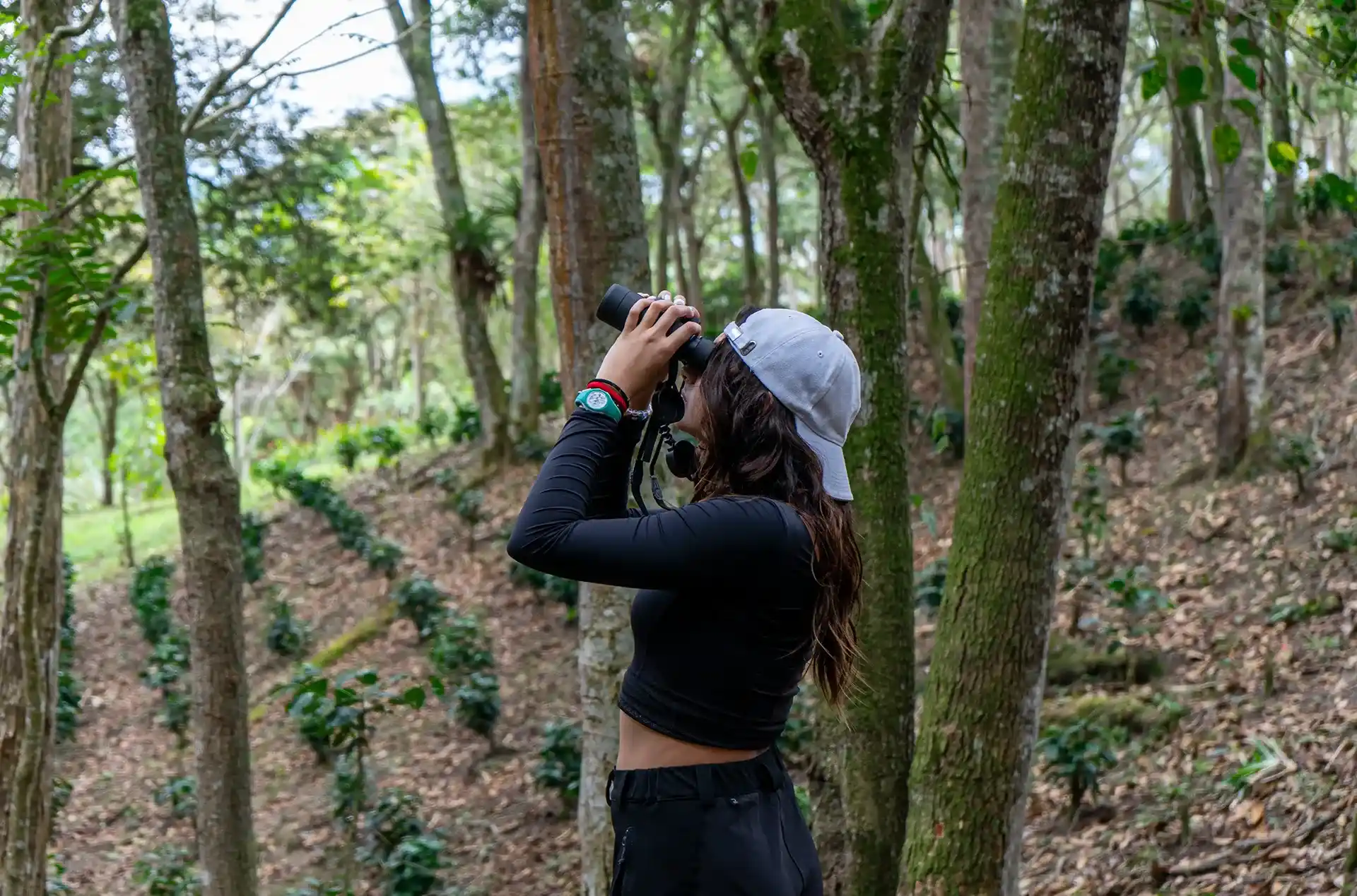Kajuyalí School (Bogotá)