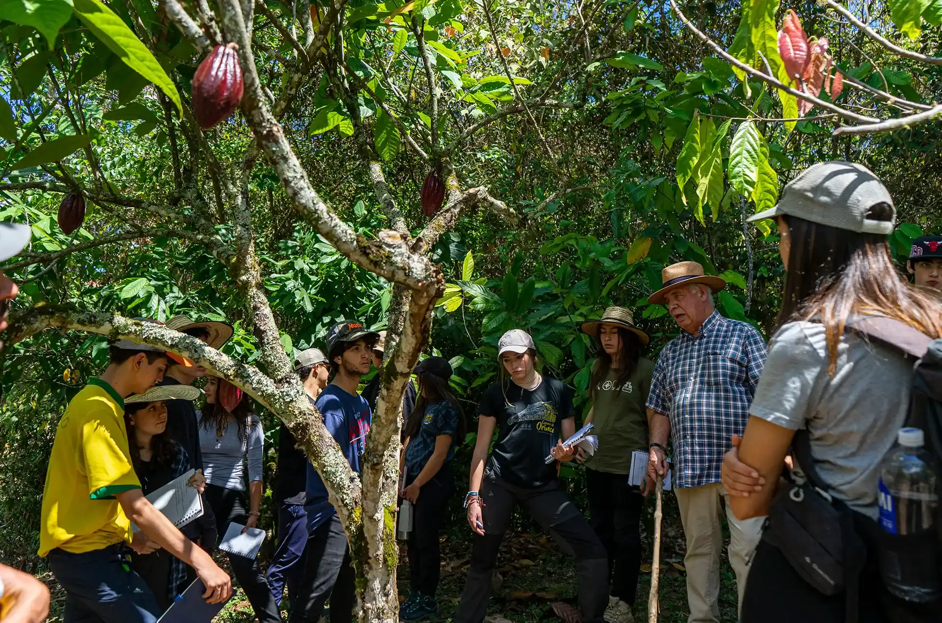 Kajuyalí School (Bogotá)