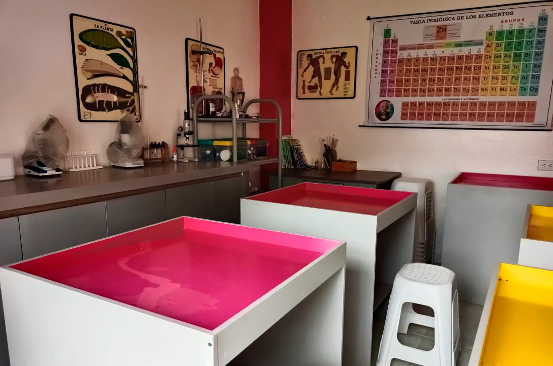 Liceo Miguel de Cervantes Saavedra (Fusagasugá)