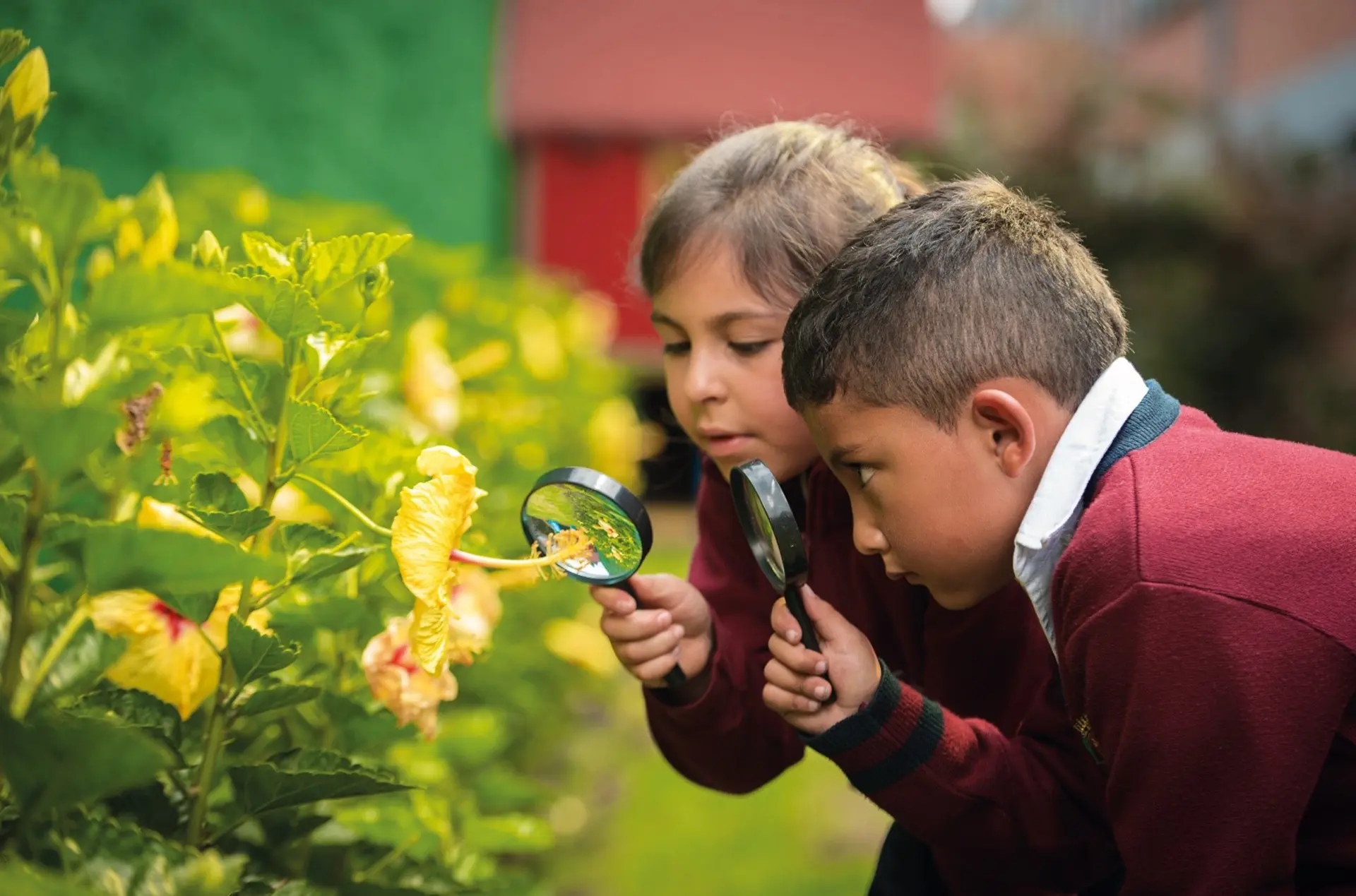 Colegio Bilingüe Hispanoamericano Conde Ansúrez (Bogotá)