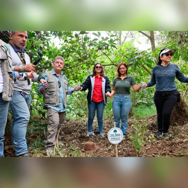 Colegio Rochester de Chía celebra 20.000 árboles sembrados